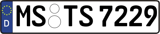 MS-TS7229