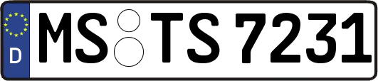 MS-TS7231