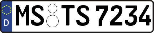 MS-TS7234