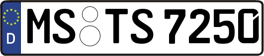 MS-TS7250