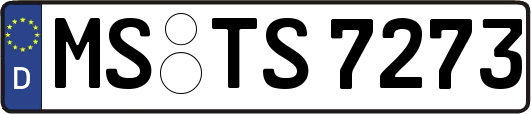 MS-TS7273