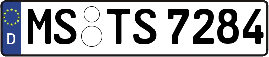 MS-TS7284