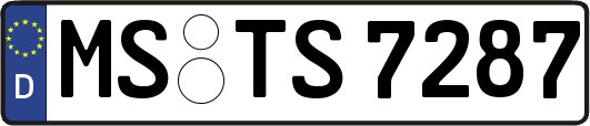 MS-TS7287