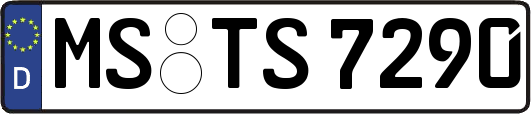 MS-TS7290