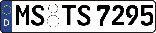 MS-TS7295