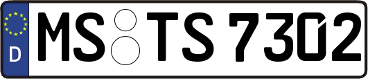 MS-TS7302