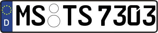 MS-TS7303