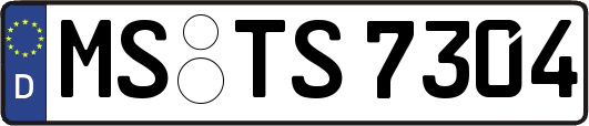 MS-TS7304