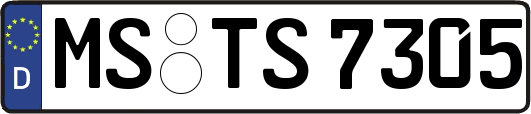 MS-TS7305