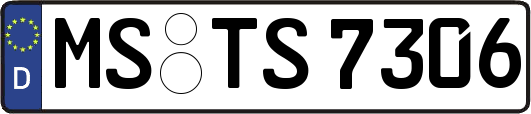 MS-TS7306