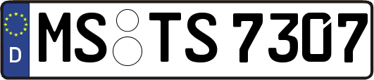 MS-TS7307