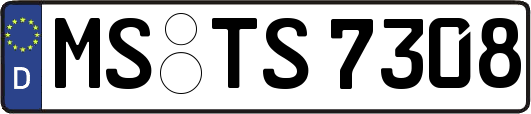 MS-TS7308
