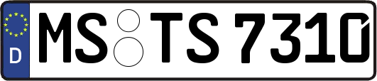 MS-TS7310