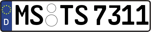 MS-TS7311
