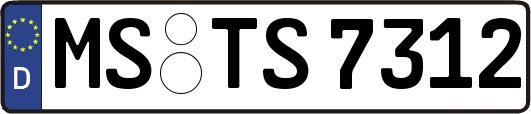 MS-TS7312