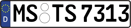MS-TS7313