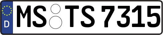 MS-TS7315