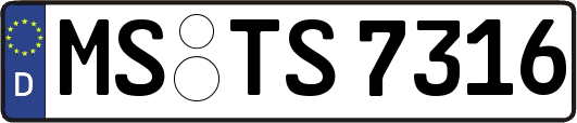 MS-TS7316