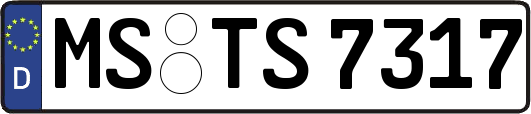MS-TS7317