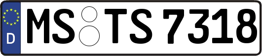 MS-TS7318