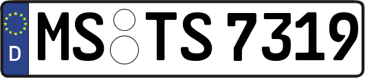 MS-TS7319