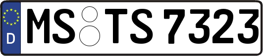 MS-TS7323