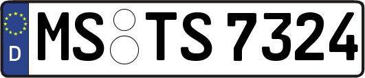 MS-TS7324