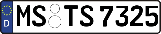 MS-TS7325
