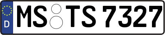 MS-TS7327