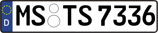 MS-TS7336