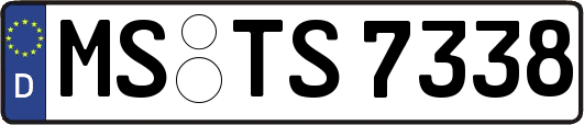 MS-TS7338