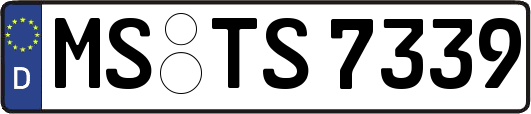 MS-TS7339