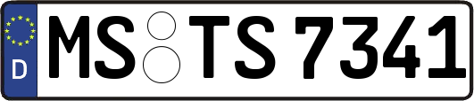 MS-TS7341