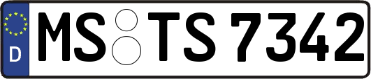 MS-TS7342