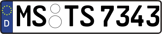 MS-TS7343