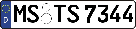 MS-TS7344