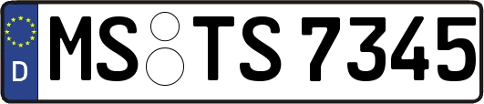 MS-TS7345