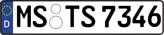 MS-TS7346