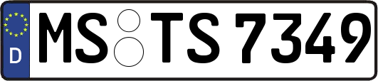 MS-TS7349