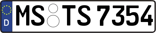 MS-TS7354