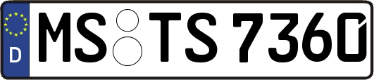 MS-TS7360