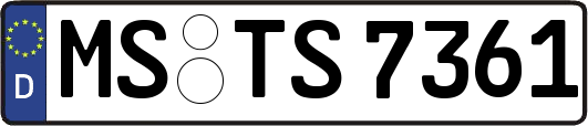 MS-TS7361