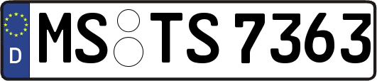 MS-TS7363