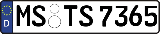 MS-TS7365