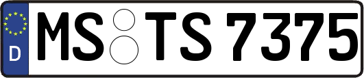 MS-TS7375