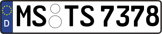 MS-TS7378