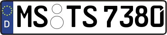 MS-TS7380