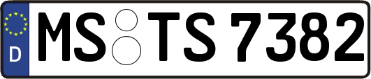 MS-TS7382