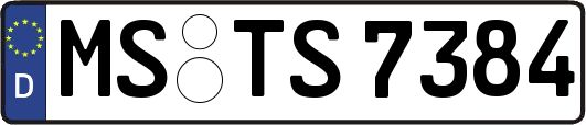 MS-TS7384