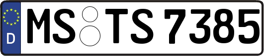MS-TS7385